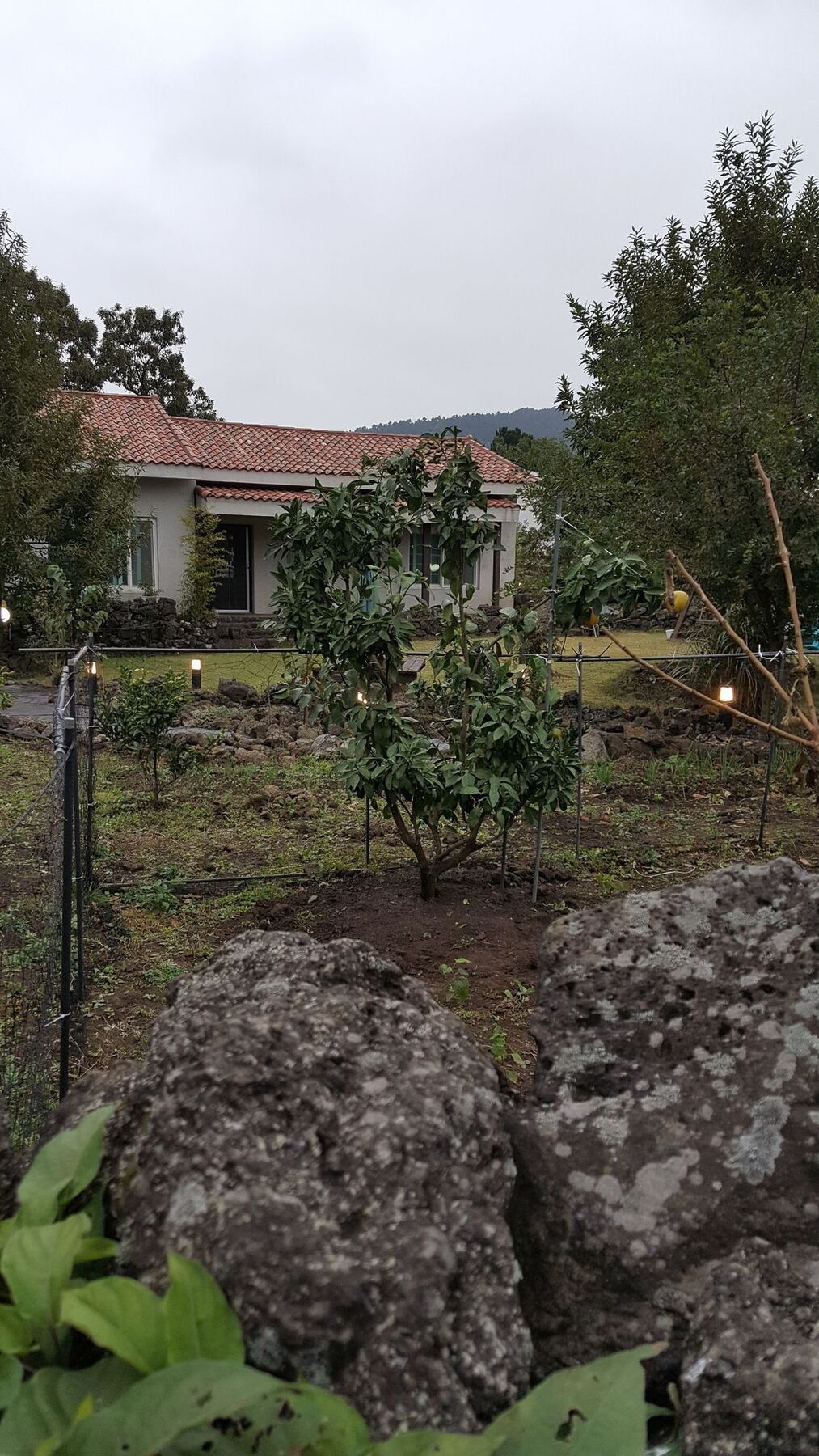 Вилла Supgol Private House Чеджудо Экстерьер фото
